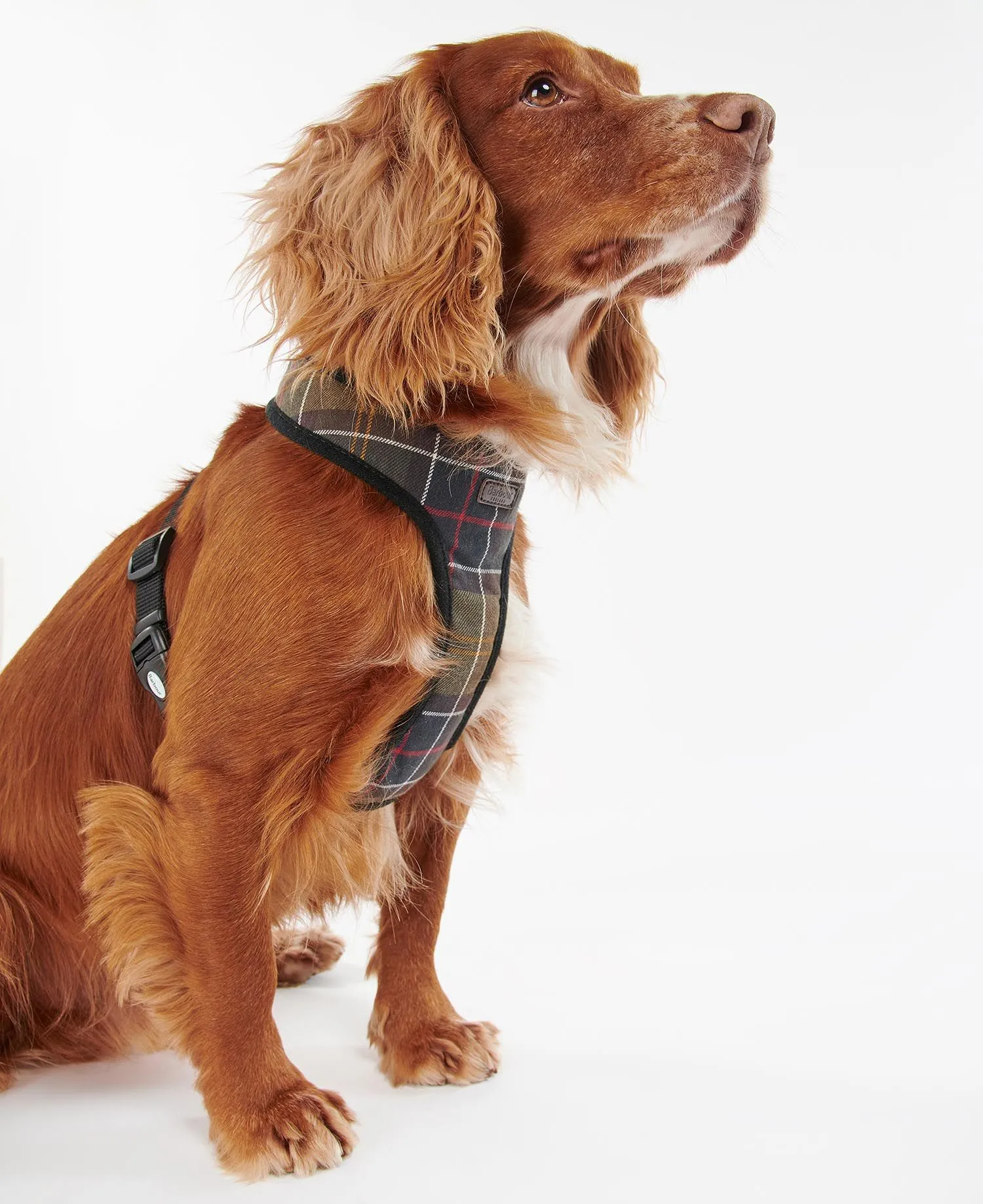 Barbour Tartan Dog Harness - ! - Gillanders.ie Town & Country Clothing