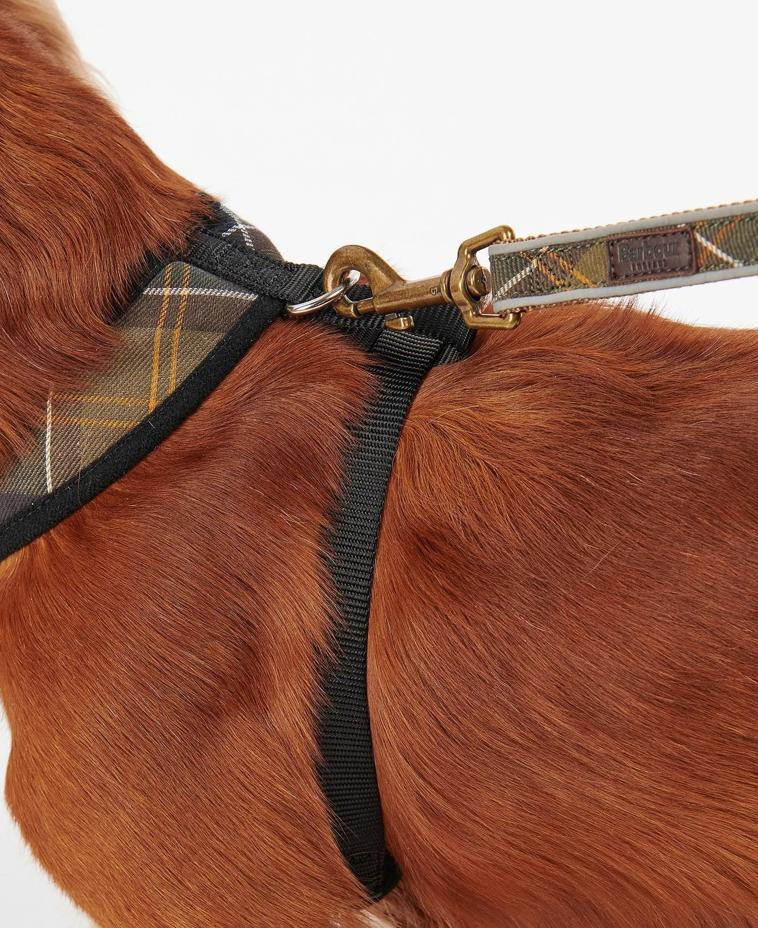 Barbour Tartan Dog Harness - ! - Gillanders.ie Town & Country Clothing