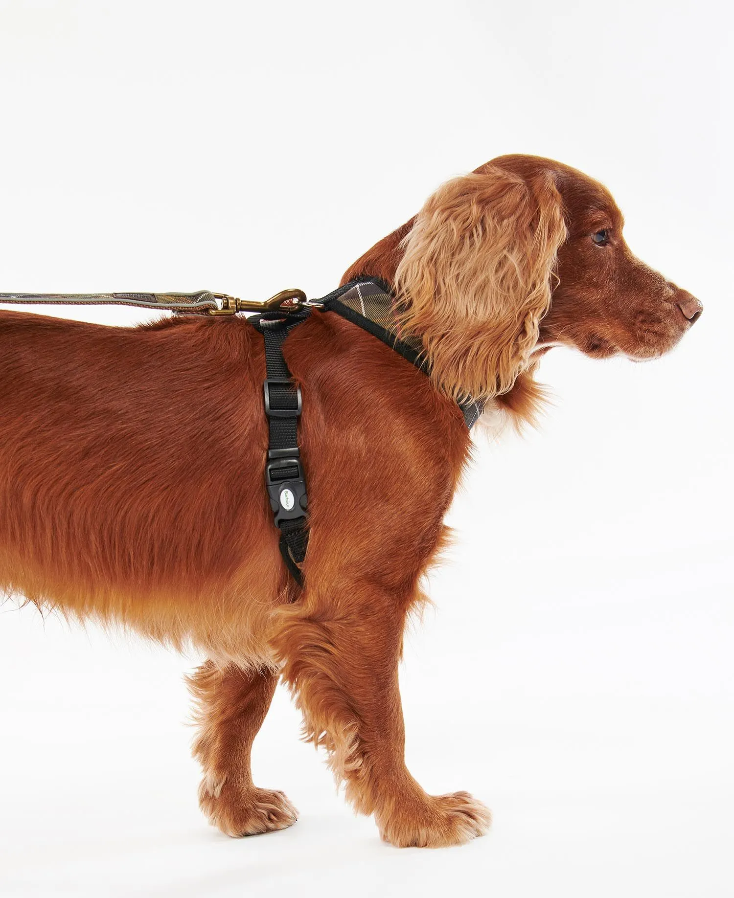 Barbour Tartan Dog Harness - ! - Gillanders.ie Town & Country Clothing