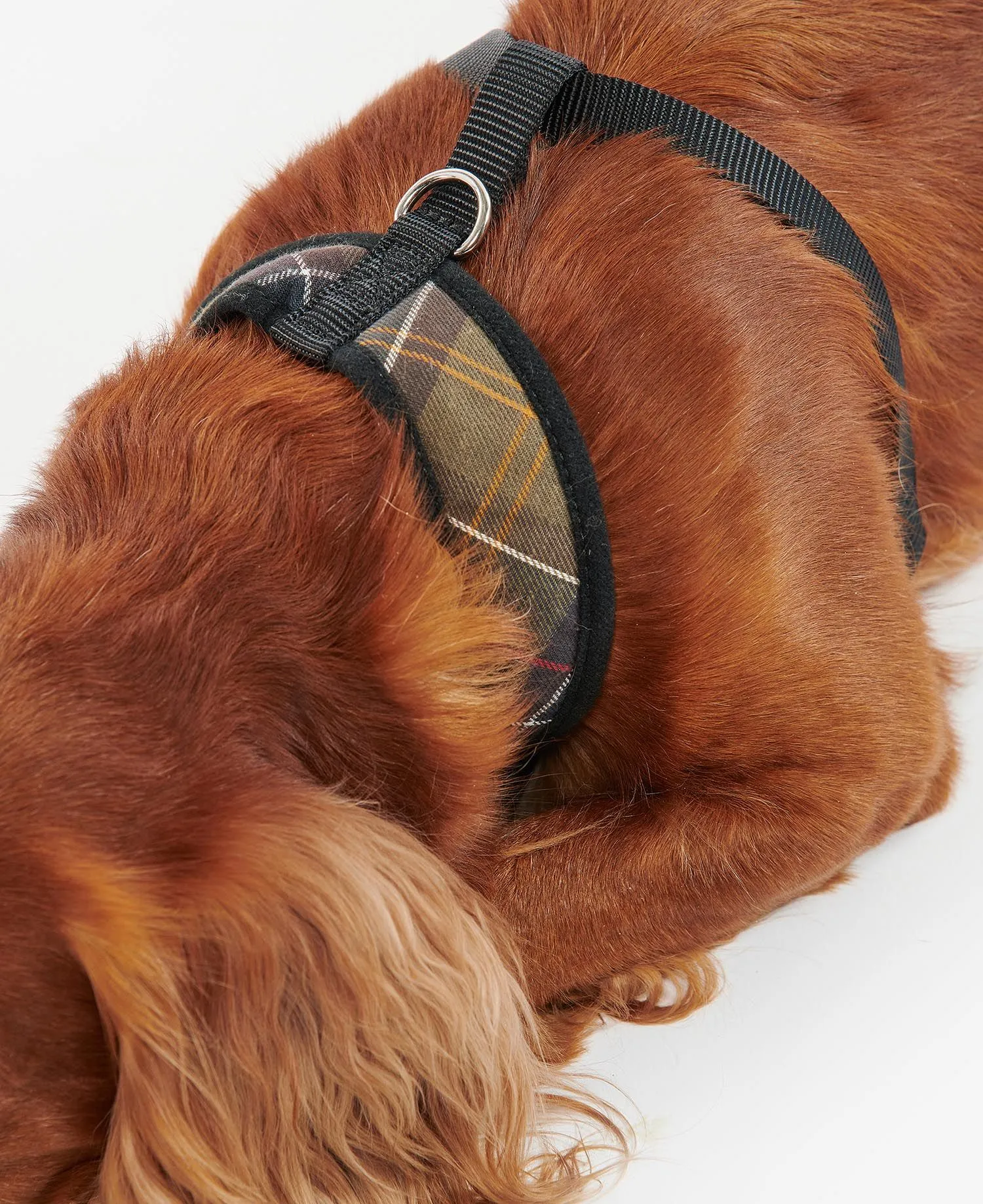 Barbour Tartan Dog Harness - ! - Gillanders.ie Town & Country Clothing