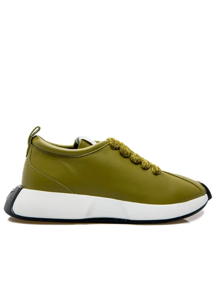 Giuseppe Zanotti Sneaker Ferox | Credomen