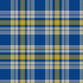 Hostess Kilt - Short Lengths (UKRAINE FOREVER)